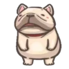perritos 8
