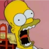 Homero Simpson 2 14