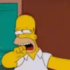 Homero Simpson 2 15