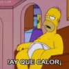 Homero Simpson 2 16