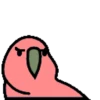 🦜 Loro de fiesta 3 🦜 15
