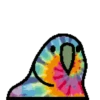🦜 Loro de fiesta 3 🦜 16