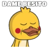 Shy Duck  Mov 14