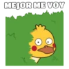 Shy Duck  Mov 16