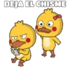 Shy Duck  Mov 18