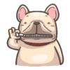 perritos 11