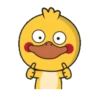 Shy Duck  Mov 19