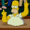 Homero Simpson 2 19