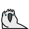 🦜 Loro de fiesta 3 🦜 20