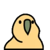 🦜 Loro de fiesta 3 🦜 22