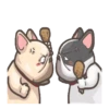 perritos 12