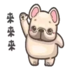 perritos 13