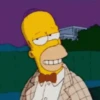 Homero Simpson 2 22