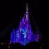 Mundo da Disney 21