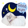 Dulces sueños 2 17