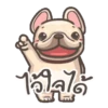 perritos 14