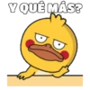 Shy Duck  Mov 21