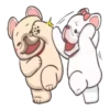 perritos 15