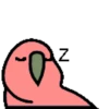 🦜 Loro de fiesta 3 🦜 25