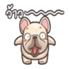 perritos 16
