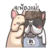 perritos 18