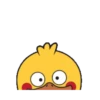 Shy Duck  Mov 22