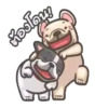 perritos 20
