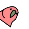 🦜 Loro de fiesta 3 🦜 26