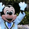 Mundo da Disney 24