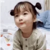 Koreanita 22