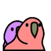 🦜 Loro de fiesta 3 🦜 27