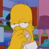Homero Simpson 2 24