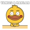 Shy Duck  Mov 24