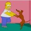 Homero Simpson 2 29