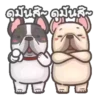 perritos 24