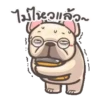 perritos 25