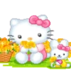 Hello kittymov 18