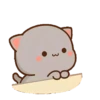 IPeach Cats 2MOV 5