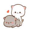 IPeach Cats 1MOV 5