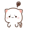 Peach Cat 12 6