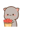 IPeach Cats 1MOV 7