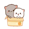 IPeach Cats 2MOV 7
