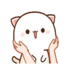 IPeach Cats 1MOV 11
