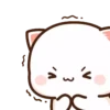 Peach Cat 12 9