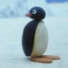● Pingu Mov. ● 11