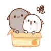 IPeach Cats 2MOV 10