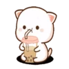 IPeach Cats 1MOV 14