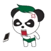 Baby Panda 8