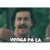 com venGA PA CA NET