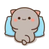 Peach Cat 12 12